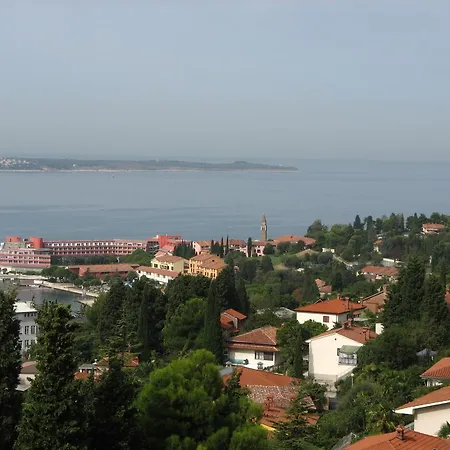 Apartment Alea