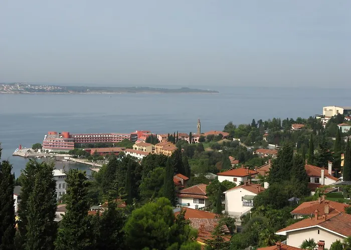 Διαμέρισμα Alea